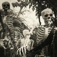 Suitably scary skeletons 