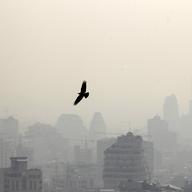 iran, pollution, tehran, skyline