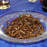 crickets as food