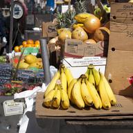 Stacks of fruit sit on a vendor's cart outside City Hall in lower Manhattan.