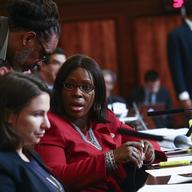 CM Vanessa Gibson Holds Public Safety Preliminary Budget Hearing on March 31, 2017. NYPD Commissioner O'Neill Testifies.