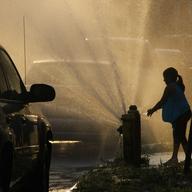 Summer in the Bronx