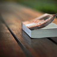 summer books reading