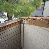 Wood Rot Repair