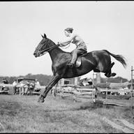 Horse jumping - Myopia