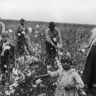Cotton-pickers at work, Texas, circa 1925.