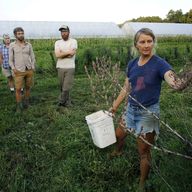 In this Tuesday, Aug. 5, 2014 photo, farmer Katie Miller, 32, of Providence, R.I., right, talks to a group of farmers about harvesting seeds from red leaf lettuce plants at Scratch Farm in R.I.
