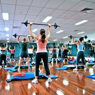 Barbells in a gym class.