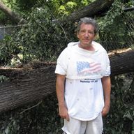 Beekeeper Jim Fischer and a fallen bee tree in need of rescuing.