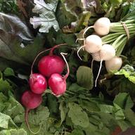 CSA share vegetables