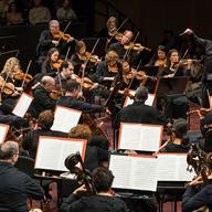 Louis Langrée at the Mostly Mozart Festival