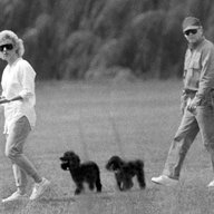 Whitey Bulger and Catherine Greig walk together with Greig's poodles underfoot.