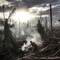  A man fans flames on a fire Tanauan on November 19, 2013 in Leyte, Philippines. Typhoon Haiyan ripped through Philippines, leaving thousands dead and hundreds of thousands homeless.