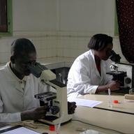 Researchers in a laboratory in the Madagascan capital Antananarivo in Sept. 2004. The Pasteur Institute of Madagascar hosted training for scientists from 9 other African counties with plague.