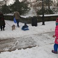 Off to go sledding in Prospect Park, Brooklyn on Friday January 3, 2014