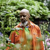 Laraaji