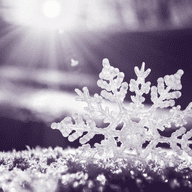 A snowflake.