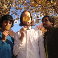 Samita Sinha, Grey McMurray, and Sunny Jain are Tongues In Trees.