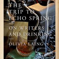 The Trip to Echo Springs by Olivia Laing