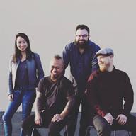 The Vitamin String Quartet