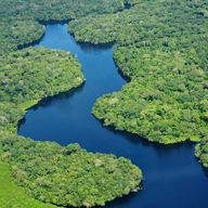 Aerial view of the Amazon Rainforest