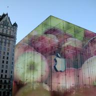 Apple Store filled with apples