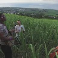 Blick Bassy & band, still