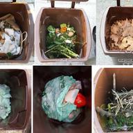The New York City sanitation department has been picking up about 36 tons of food scraps and yard waste from schools and certain designated neighborhoods.