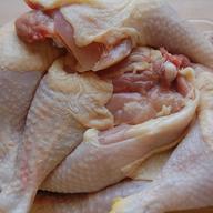 chicken
