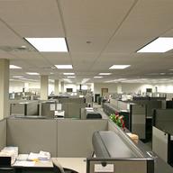Many workers spend their days in cubicles.
