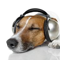 What kind of music would be relaxing enough to put him to sleep? Three Dog Night? Dr. Dog? Dogbreth?