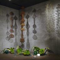 An exhibit of work by Artist Ruth Asawa.