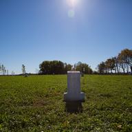 Hart Island