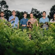 Lost Bayou Ramblers