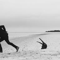Penguin Cafe