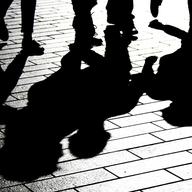 shadows