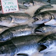 Wild King salmon in Seattle's Pike Place Market 