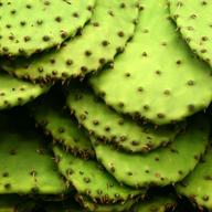 Nopales 