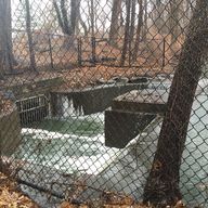 A lake in Van Cortlandt Park in the Bronx feeds into the Tibbetts Brook, which once was open to air.