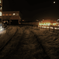 The High Line, circa 2004. Picture credit: Courtesy of Florent Morellet