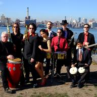 Spanglish Fly
