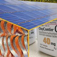 three images, of solar panels, salmon at a fish market, and a pill bottle labeled 'oxycontin'