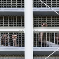 Prisoners call out to protesters and family members gathers outside the Metropolitan Detention Center, a federal prison where prisoners have been without heat, hot water, electricity