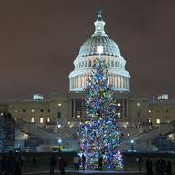 U.S. Capitol Christmas Tree is seen at the U.S. Capitol at night after negotiators sealed a deal for COVID relief Sunday, Dec. 20, 2020, in Washington.