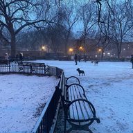 A snow covered dog park in the Lower East Side.