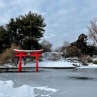 A red Torii gate marking a Shinto shrine in a Japanese style garden a frozen pond and snow with pine trees