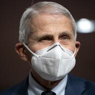 Dr. Anthony Fauci, chief medical adviser to the president, is seen during a Senate Health, Education, Labor, and Pensions Committee hearing.