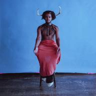 Musician, actor, comedian, singer, Shamir