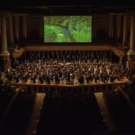 Sao Paolo Symphony Orchestra