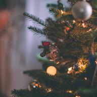Close up of Christmas tree decorated with ornaments